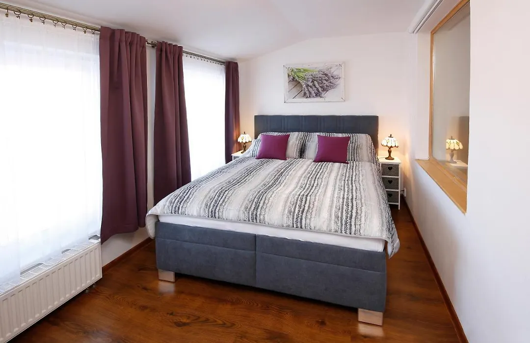 B&B Violet-1