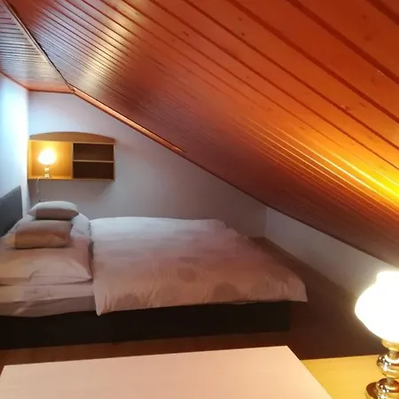 B&B Violet-2